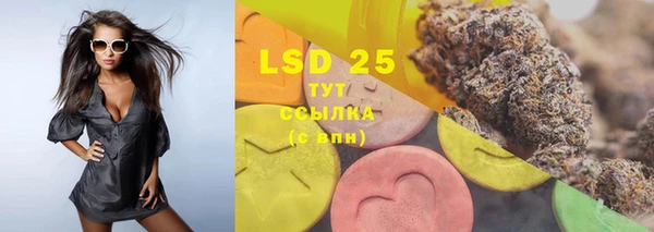 spice Белокуриха