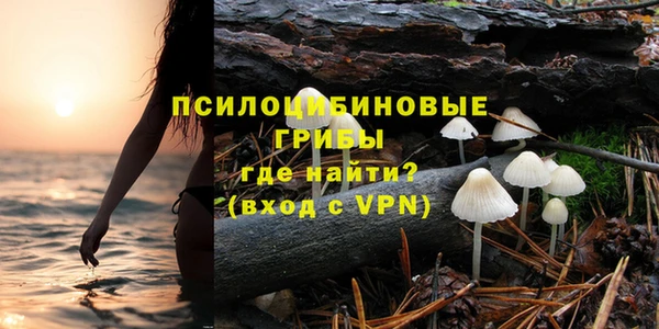 гашик Белоозёрский