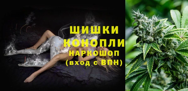 spice Белокуриха