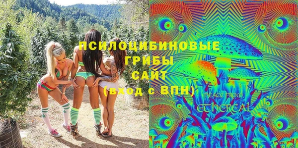 spice Белокуриха