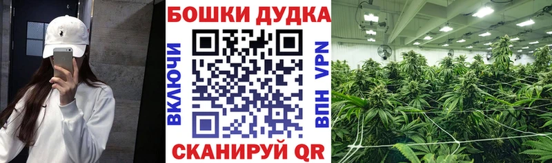 Конопля MAZAR  Брянск 